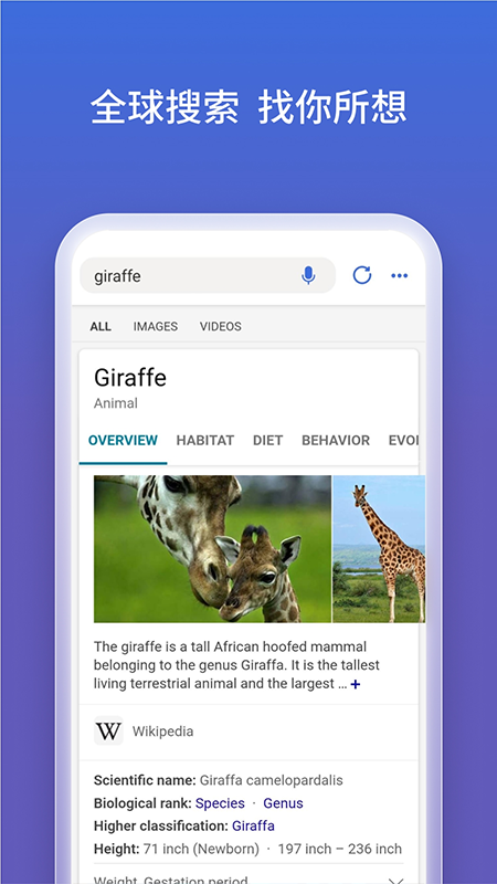 微软必应app(Bing)截图2