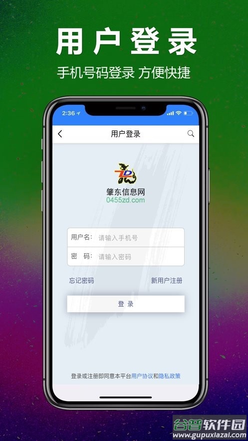 肇东信息网app