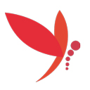 蜻蜓fm主播手机版v4.3.5