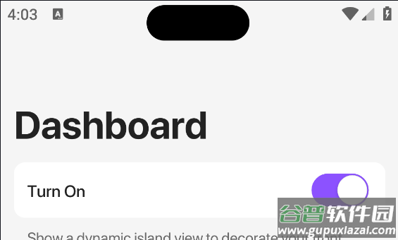 Dynamic Island灵动屨ky