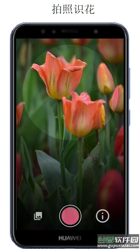 万物识别软件免费版截图2