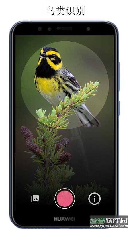 万物识别软件免费版截图4