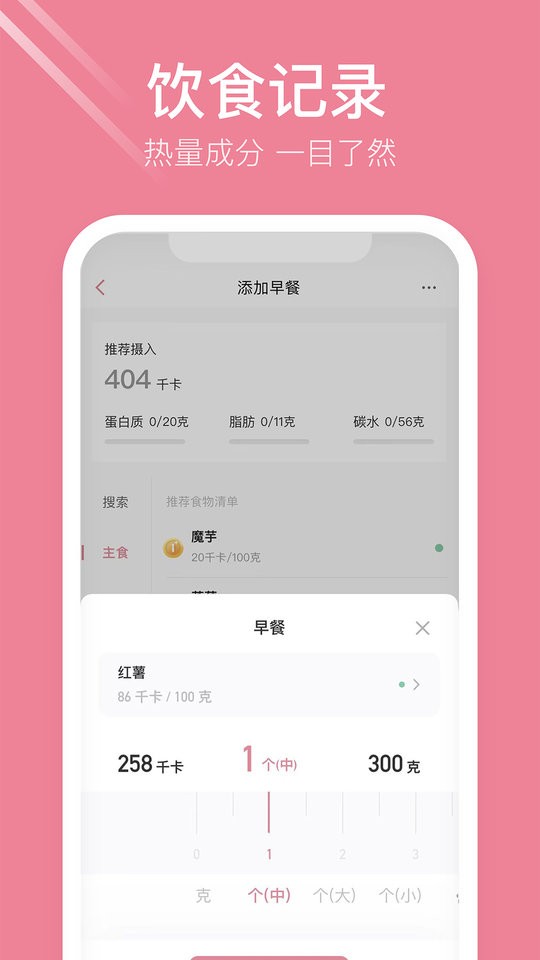体重小本极速版最新版截图2
