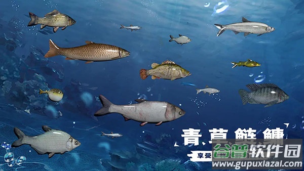 天天钓鱼下载正版 天天钓鱼下载正版