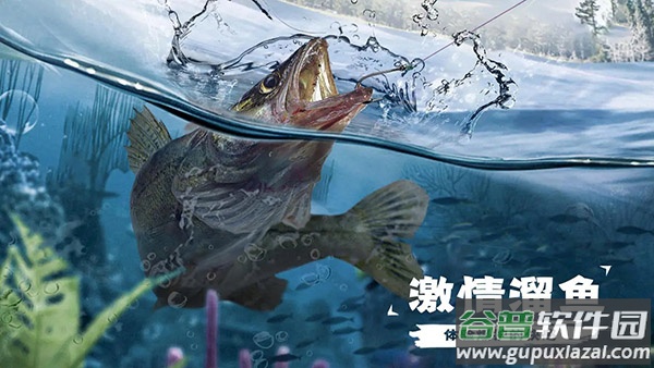 天天钓鱼官方下载截图2