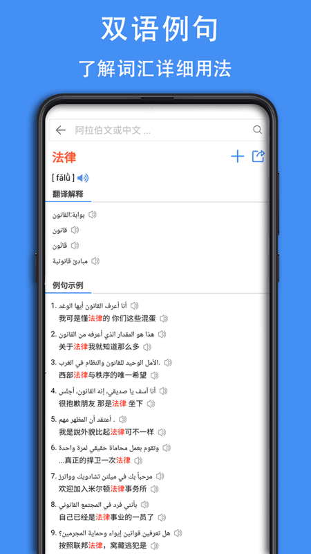 阿拉伯语词典电子版app截图3