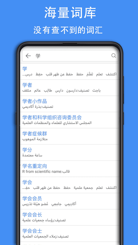 阿拉伯语词典电子版app截图4