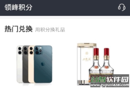 领峰会员积分app