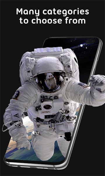 pixel4d动态壁纸免费版截图1