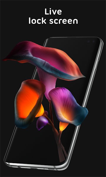pixel4d动态壁纸免费版截图2