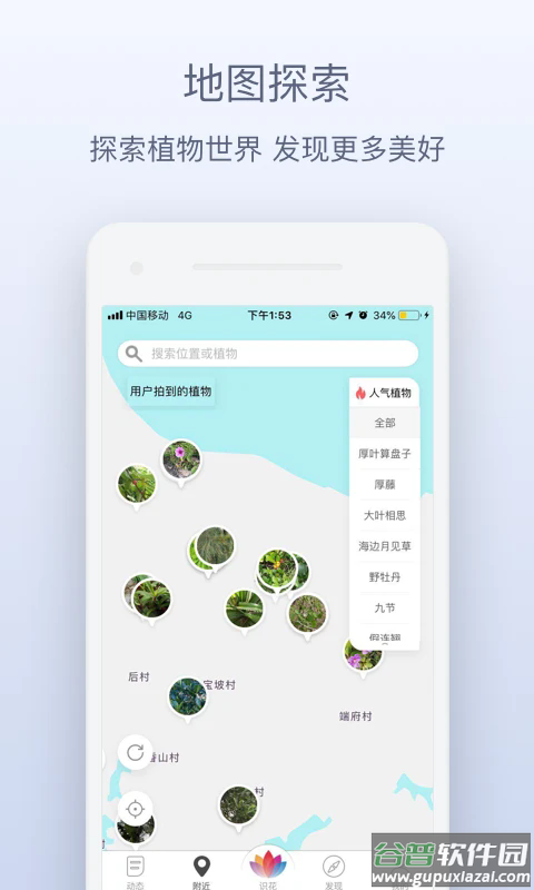 花伴侣识花截图3