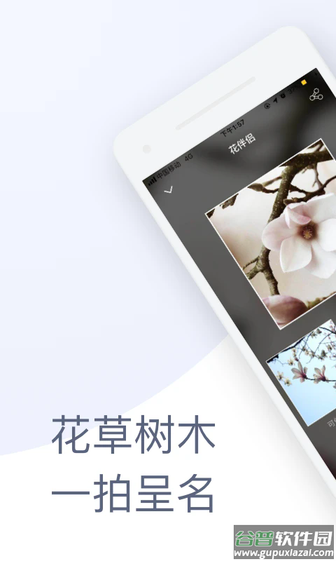 花伴侣识花截图5
