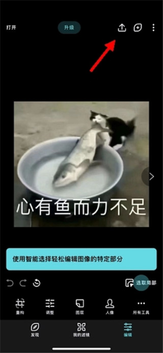 泼辣修图高级版