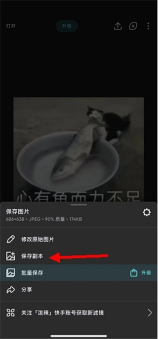 泼辣修图高级版
