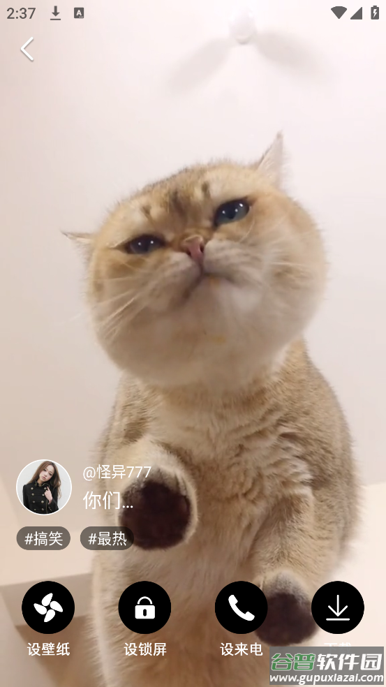 布丁壁纸大全手机版截图3