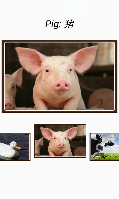 动物和声音app下载