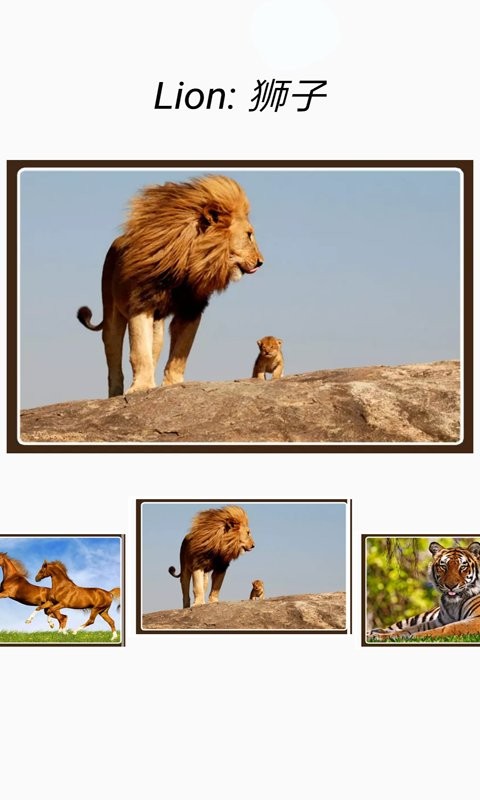 动物和声音手机版截图1