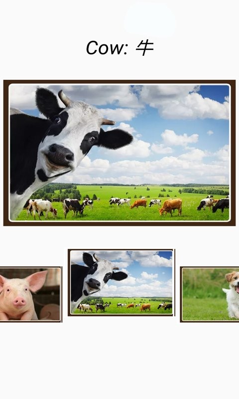 动物和声音手机版截图2