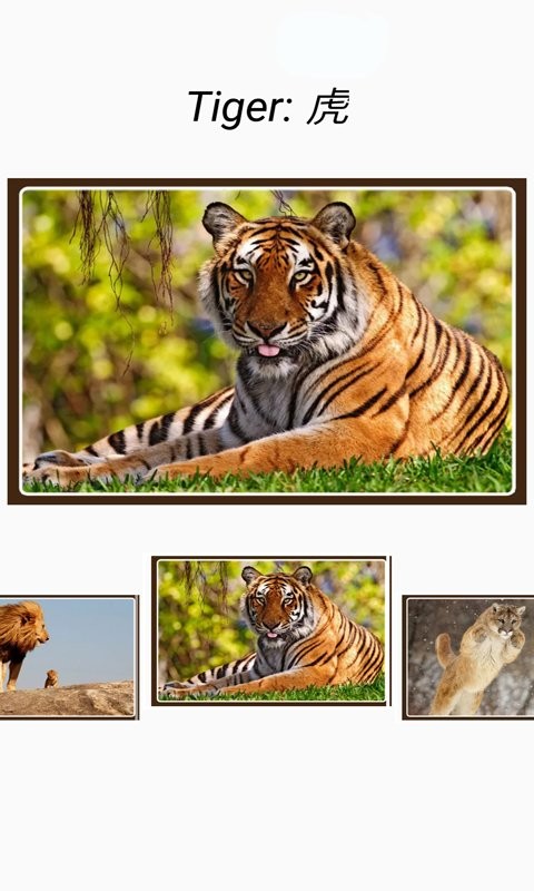 动物和声音手机版截图4