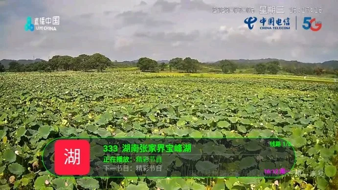 月兔tv电视盒子截图3