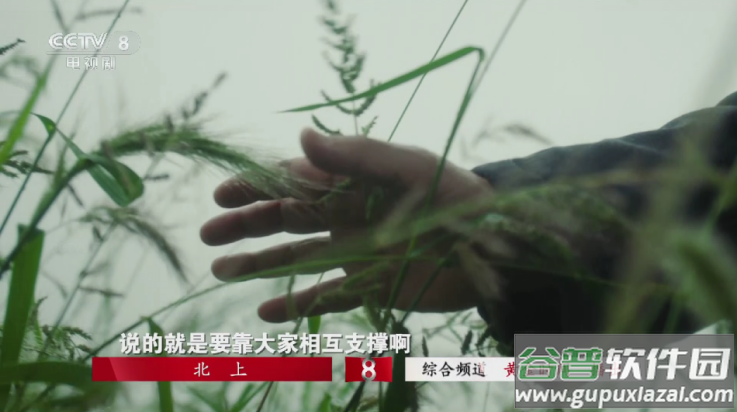 看看影视tv版截图2