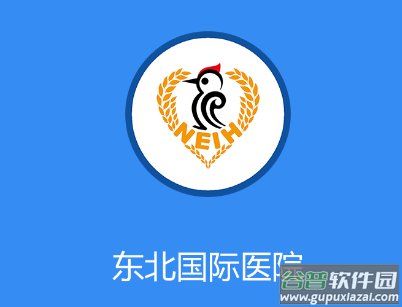 东北国际医院app