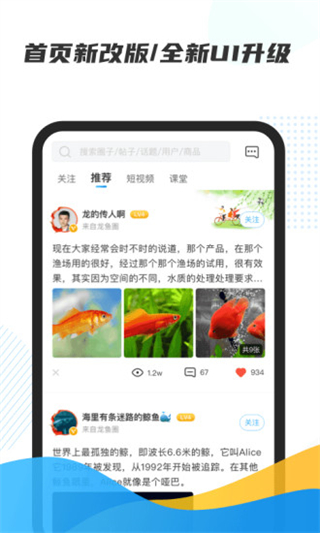 龙巅app截图1