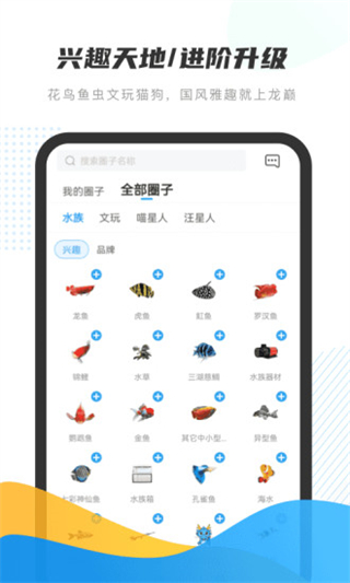 龙巅app截图3