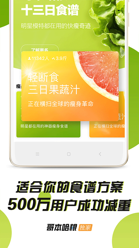 哥本哈根减肥法食谱13天app截图3