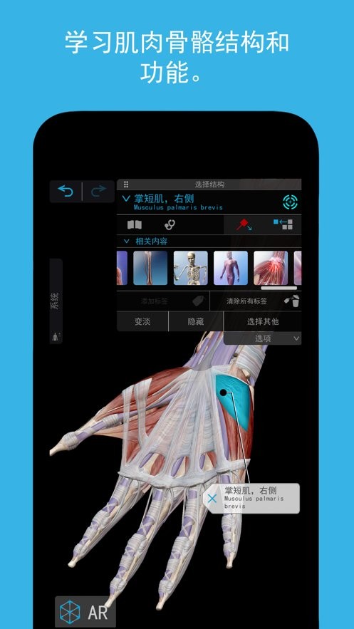 Atlas软件截图1