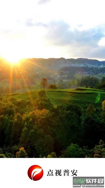 点视普安app