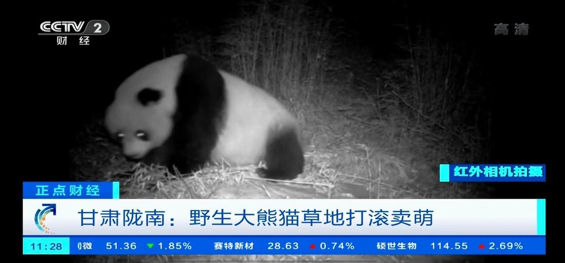 小小TV最新版截图2