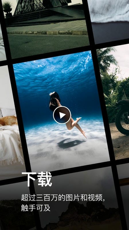 Pexels免费素材网app下载