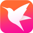 迅雷直播app最新版本v3.80.000