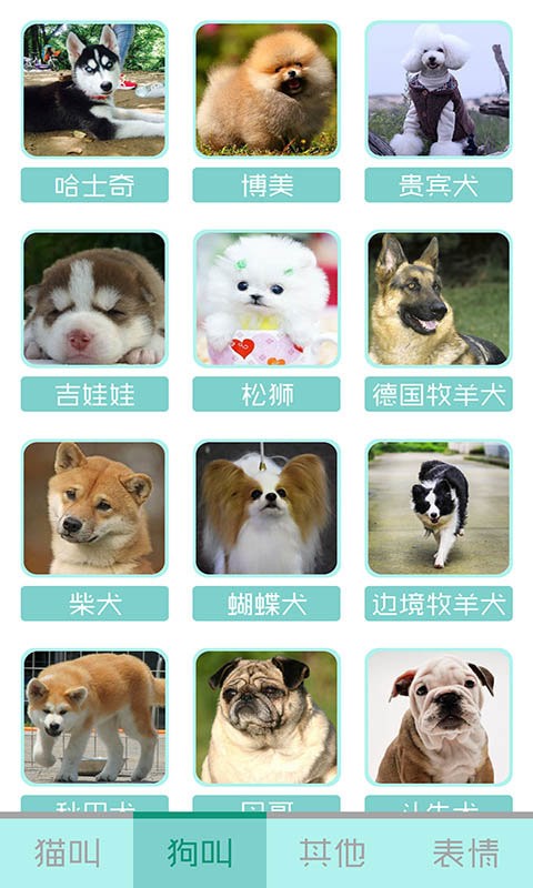 猫叫声狗叫声模拟手机版截图2