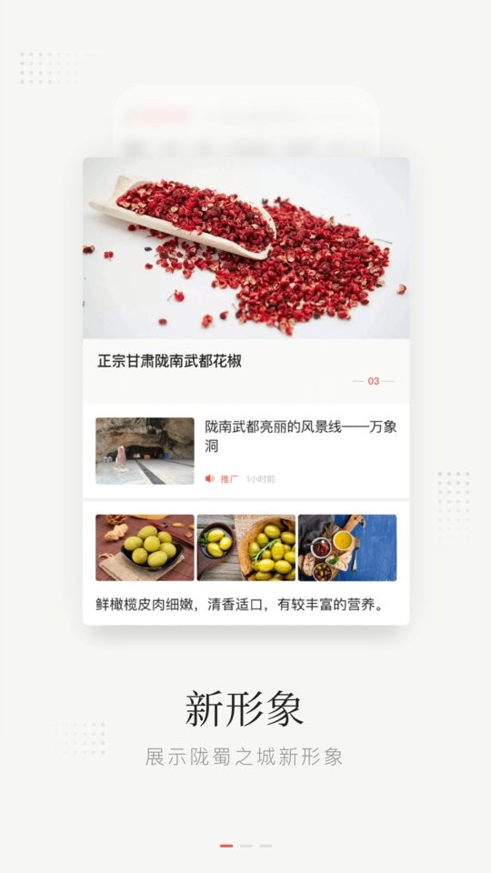 陇蜀之城客户端截图3