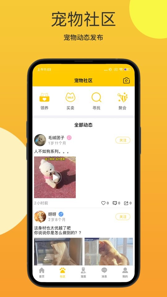 它她星球用户端截图2