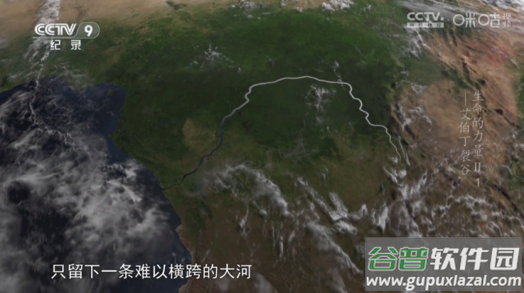 diy直播软件截图4