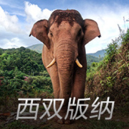 亚洲象预警appv0.1.80