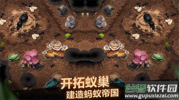 小小蚁国官方下载截图2