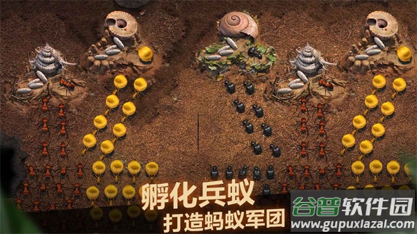 小小蚁国官方下载截图3