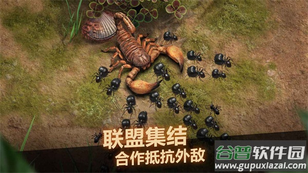 小小蚁国官方下载截图4