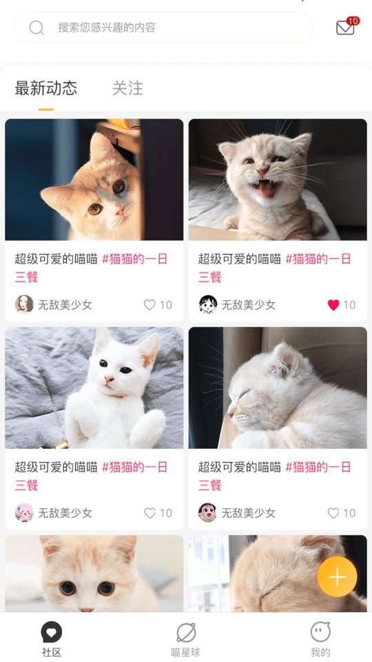 云养猫最新版截图2