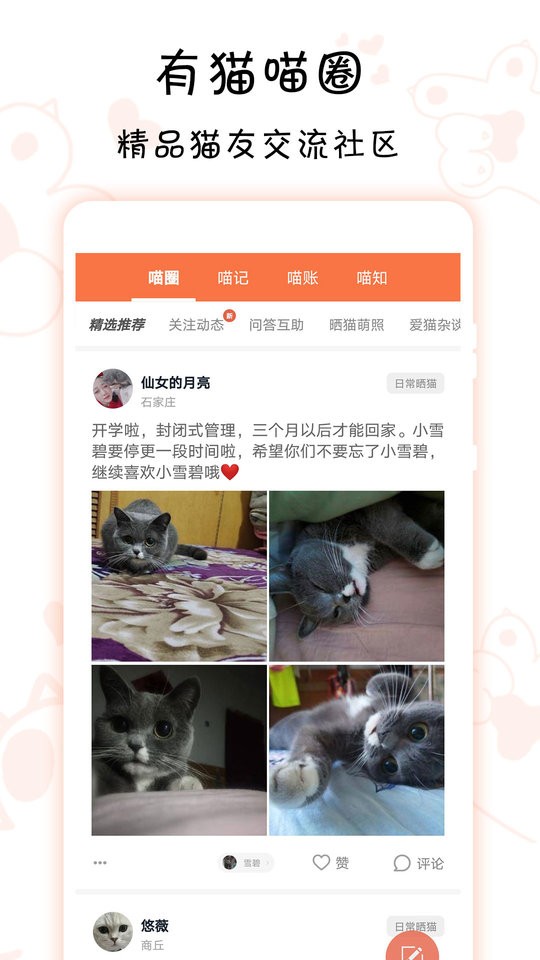 领喵手机版截图2