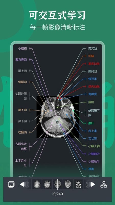 万康人体解剖官方版
