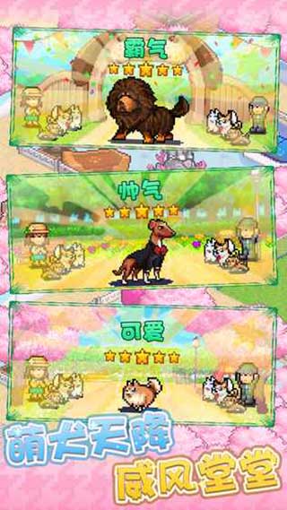 发现狗狗乐园最新版截图4