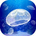 养育水母的治愈游戏中文版v1.0.0