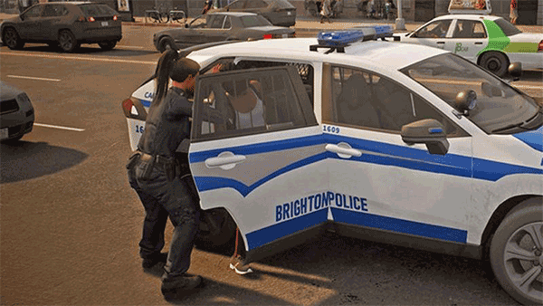 全民巡警模拟器手机版截图2