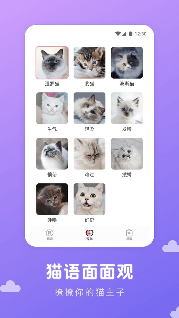 猫语翻译君官方版