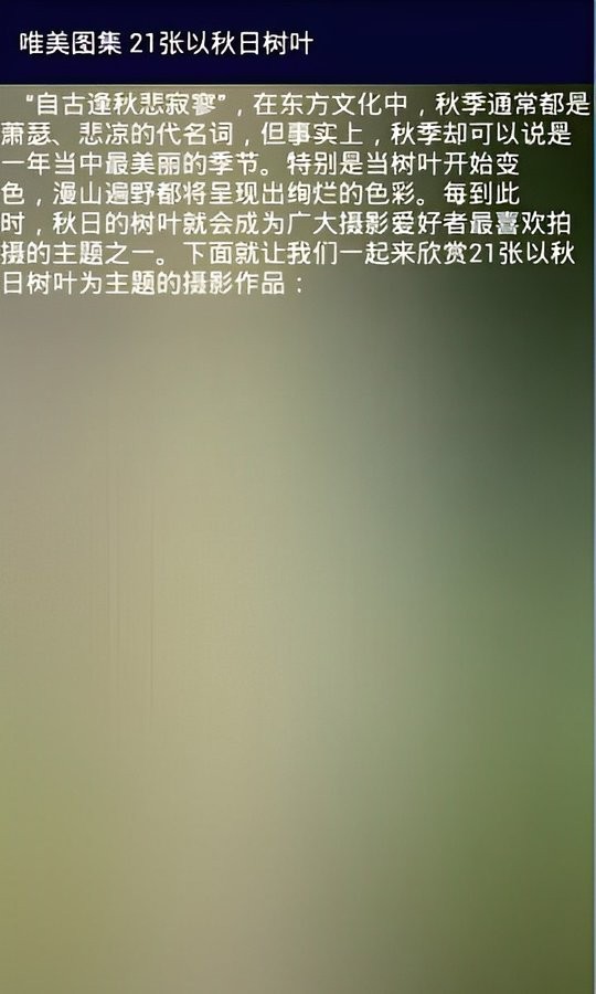 图行天下手机版截图1
